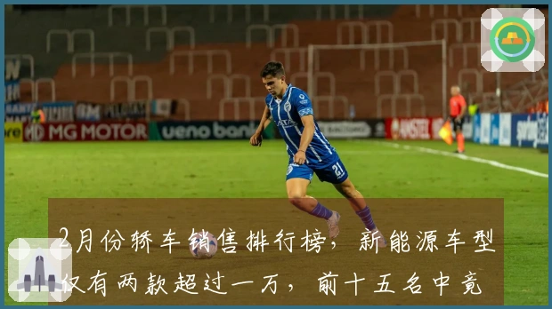 2月份轿车销售排行榜，新能源车型仅有两款超过一万，前十五名中竟无比亚迪！
